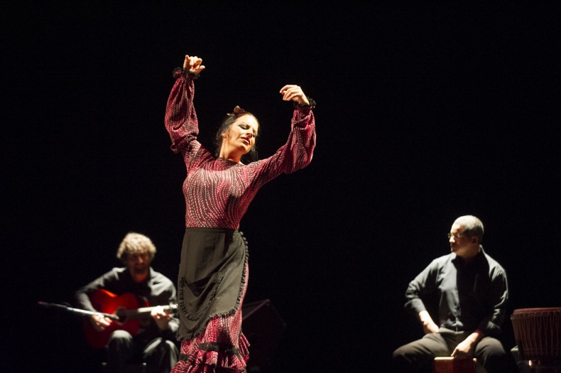 XVI Festival de Arte Flamenco Monterrey - July 2014